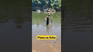 Piava na linha!