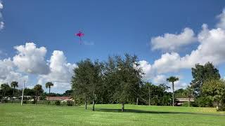 Catherine Flying Kite - Nov 2020