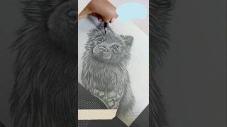 Drawing Custom Pet Art #petparent #petpainting #petphotos #petdrawing #petart #petportrait #petlover