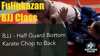 BJJ - Half Guard Bottom - Karate Chop to Back