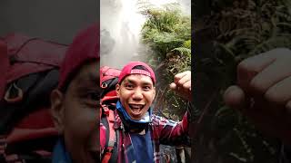 gunung gede pangrango shelter air panas