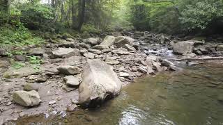 South Fork of the Cherry River WV - Low Altitude Drone footage