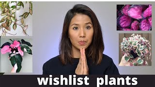 My plants wishlist | What plants should I buy next?