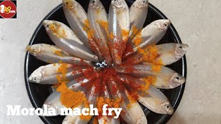 MOROLA MACHER RECIPE । Mourola marcher Fry । Fish Fry ।Fish Starter Recipe । Bong cook