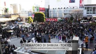 Shibuya... l'incrocio - Tokyo