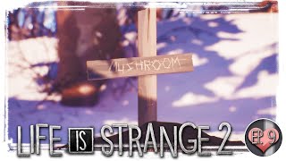 RIP Mushroom :( - Life is Strange 2 Ep. 2: Rules - Ep. 09