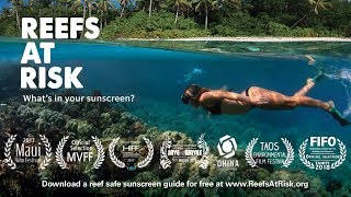 Reefs At Risk - Hawaii bans sunscreens with oxybenzone