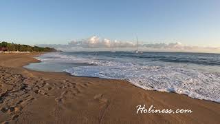 Hi Lovebirds! Take a virtual walk along Playa Dorada with this video. Or watch to relax or work by.