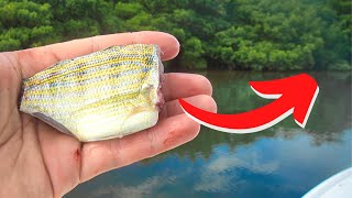 One of the BEST Ways to Catch Redfish - Cut Bait Under Mangroves