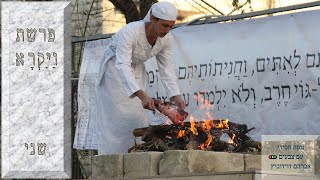 קריאת התורה | פרשת ויקרא | שני