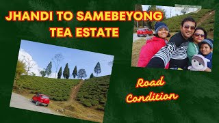 Jhandi to Samebeyong tea estate - Road Condition | Self Drive in Dajelling