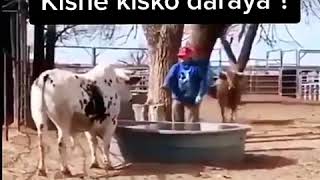 New best funny video l snack funny video l so funny