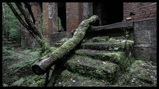 Decayed Factory Ruin in the Woods