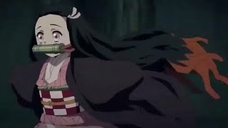 Nezuko Run