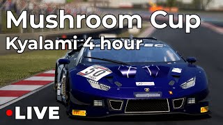 RCI Mushroom Cup Round 1 — 4 hours of Kyalami — Odyssey Racing Yellow #217