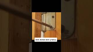 Век живи век учись