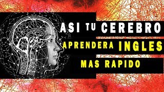 ASI ES COMO EL CEREBRO APRENDE INGLES MAS RAPIDO Y FACIL