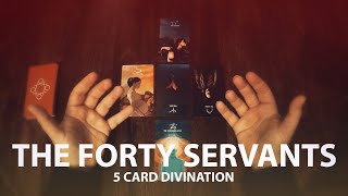 What Should I be Aware Of? -   5 Card Forty Servants Reading -