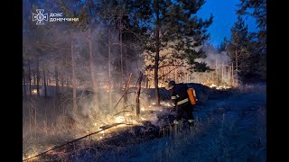 У Лиманському лісництві другу добу ліквідовують масштабну пожежу