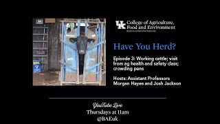 Have You Herd? Episode 4