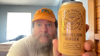 SPARKLING BOTANICALS DANDELION GINGER