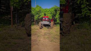 Mahindra Jivo 365 4WD 🚜💪 #tractorvideo #automobile #rotavetor #tractar #jcb #farmer