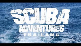 Best Scuba Diving Pattaya Memories of 2019 From Pattaya Scuba Adventures Thailand!