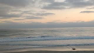 Torrey Pines State Beach