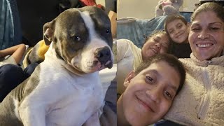 Woman's therapy Pit Bull attacks her 11-year-old nephew