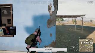 PUBG PLS FIX ROBBED OF A 30+ KILL GAME