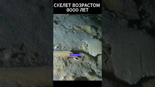 Этому скелету 8000 лет!