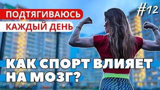 Как спорт влияет на мозг? Спорт и гормоны | Продолжаю челлендж 3000 подтягиваний | День #12