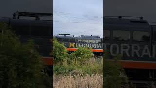 Hectorrail BR 151 car transport train - beautiful shot in a field in the sunset #trains #shorts