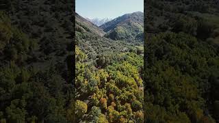 Осень в горах Заилийского Алатау 🇰🇿 autumn landscape from the air