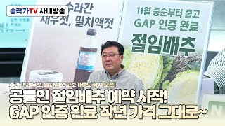 사내방송 241104 증평 절임배추 예약 시작!! GAP 인증 완료 작년 가격 그대로~/ 수라간 새우젓, 멸치액젓 고춧가루도 항시 오픈!