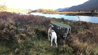 On the way to Dornie and Eilean Donan Castle