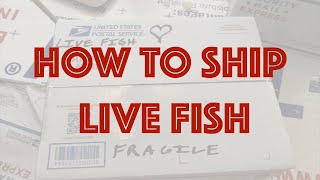 How To Ship Live Fish - Best Method - Obviously