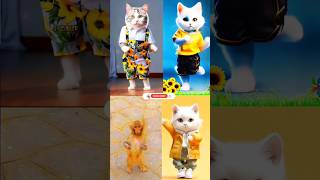 Monkey 🆚 cats funny dance 😁 patli kamar mori 😍😋 #cat #dance #youtubeshorts