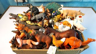 decoration sea animals entertainment 13++ mix dinosaur cow horse lion sheep deer cat. Animals Demo