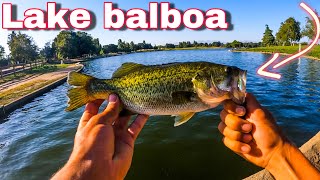 Lake balboa bass fishing (finesse)