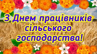 З Днем працівників сільського господарства, привітання з Днем працівників сільського господарства