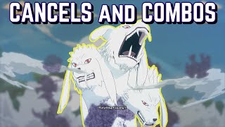 Kiba Cancels and Combos - Naruto Storm 4