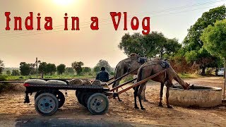 Getting to India - Vlog version