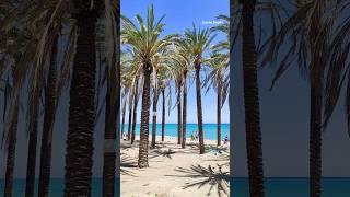 🇪🇸 Costa del Sol, Spain #torremolinos #mediterraneansea #costadelsol #andalucia #spain #beach