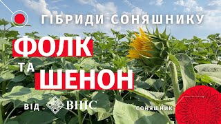 Фолк та Шенон ВНІС™