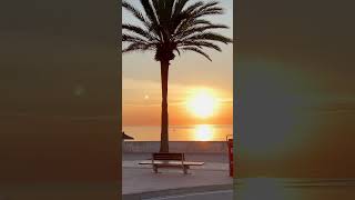 Sunrise in Cala Millor #shorts #calamillor #meatraiu #gabrielarocha #viralvideo #europe