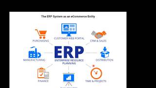 3.9 51 Enterprise Resource Planning