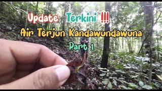 Perjalanan Menuju Air Terjun Kandawu-ndawuna Kapontori #AirterjunKandawundawuna #AirTerjunKapontori