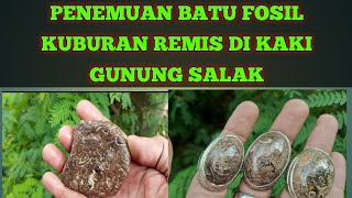 PENEMUAN BATU FOSIL KUBURAN REMIS DI KAKI GUNUNG SALAK