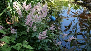 Le jardin de Paulette et Dany